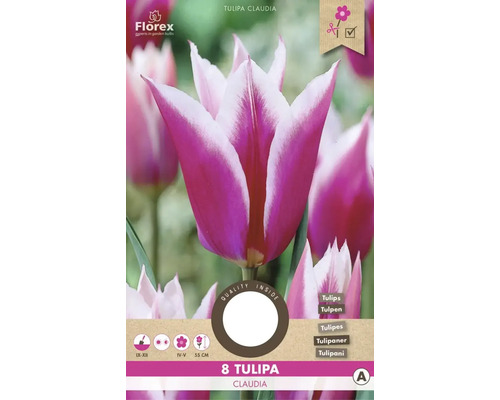 Verpackung Tulpen Claudia, 8 Stück