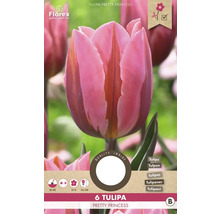 Verpackung mit sechs Tulpen Pretty Princess