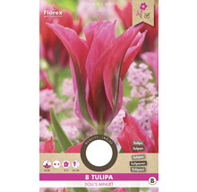 Verpackung Tulpen Blumenzwiebeln Doll''s Minuet