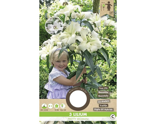 Blumenzwiebel Lilie ' Pretty Women ' 3 Stück