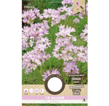 Verpackung mit 10 Allium Roseum Zwiebeln