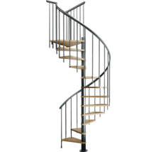 Spindeltreppe mit Metallgeländer und Holzstufen