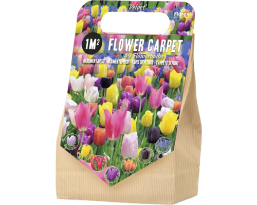 Blumenzwiebeln für einen Blütenteppich für 1 Quadratmeter, 50 Stück