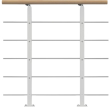 Geländer mit Holzhandlauf und horizontalen Metallstäben