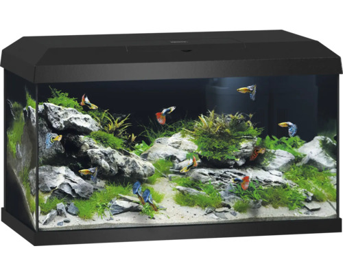 Aquarium Set JUWEL Primo 60 inkl. Abdeckung mit LED Beleuchtung, Heizer, Filter ohne Unterschrank, schwarz, 61 x 37 x 37 cm , 57 l
