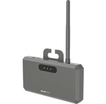 BluePalm Gerät mit Antenne