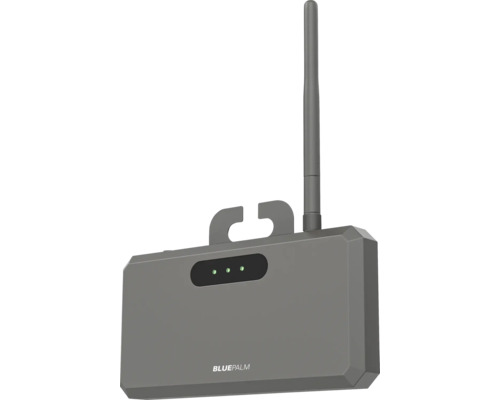 Blue Palm Sensor mit Antenne