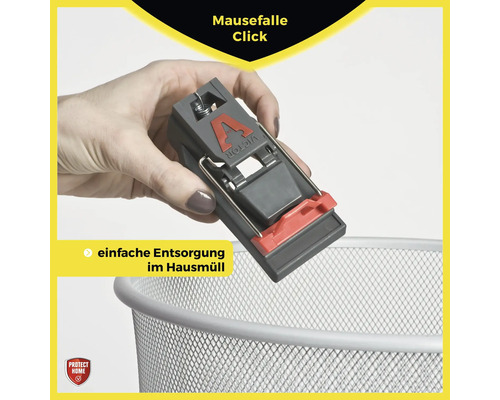 Eine Hand hält eine Mausefalle über einen Mülleimer zur einfachen Entsorgung.