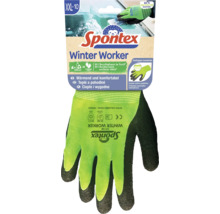 Spontex Winter Worker Handschuhe in Größe XXL