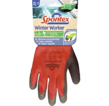 Spontex Winter Worker Handschuhe in Größe XXL-10