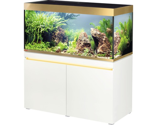 Aquariumkombination EHEIM incpiria 430 gold - Limited Edition mit Beleuchtung und Unterschrank