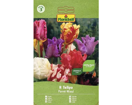 Blumenzwiebel Tulpe FloraSelf ' Papagei Tulpen Mischung ' 8 Stück