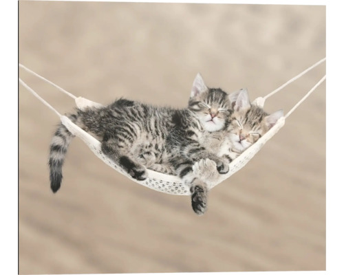 Decopanel Kitty Hammock 50x40 cm