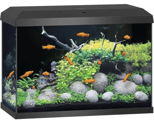 Aquarium JUWEL Primo 70 inkl. Abdeckung mit LED-Beleuchtung, Heizer, Filter ohne Unterschrank schwarz Aquarium mit Fischen, Pflanzen und Steinen