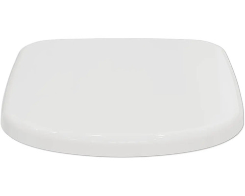 Toilettendeckel aus Kunststoff