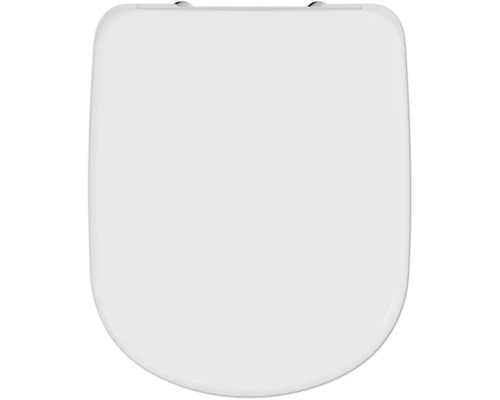 Toilettendeckel aus Kunststoff