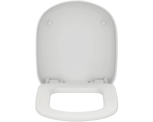 Toilettendeckel aus Kunststoff