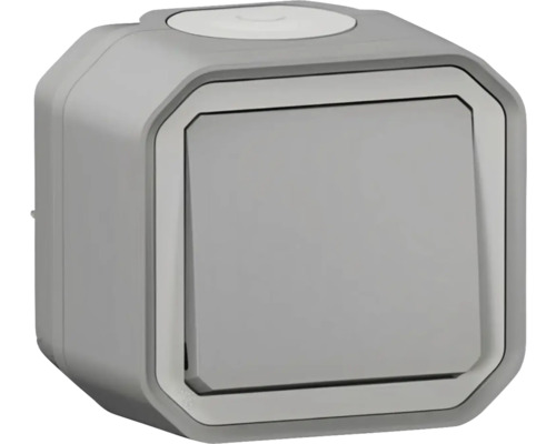 Schalter Legrand Plexo 55 grau