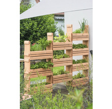 Hochbeet aus Holz mit verschiedenen Kräutern und Pflanzen in einem Garten.