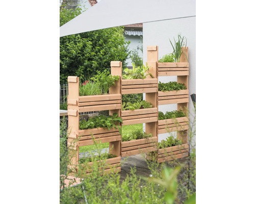 Hochbeet aus Holz mit verschiedenen Kräutern und Pflanzen in einem Garten.