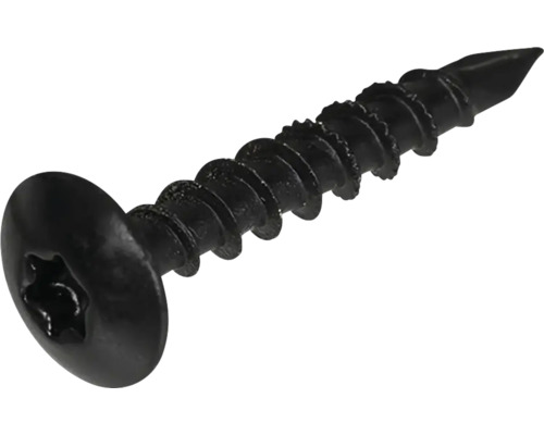 Beschlagschraube Linsenkopf 6x40 mm HCP schwarz 30 Stück Schwarze Schraube mit Torx Antrieb