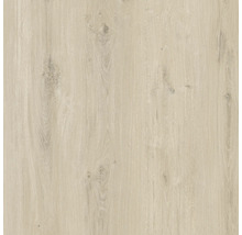 Nahaufnahme einer Laminatbodenplatte mit Holzstruktur
