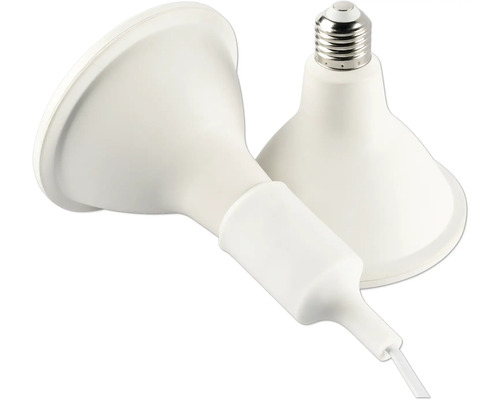 Zwei LED-Lampen mit E27-Sockel