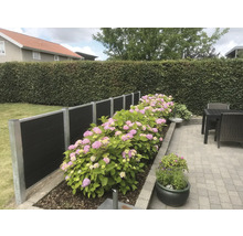 Garten mit Sichtschutzzaun, Hortensien und Pflastersteinen