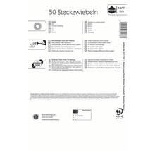 Verpackung mit Informationen zu 50 Steckzwiebeln