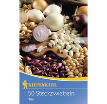 Kiepenkerl Logo. Packung mit 50 Steckzwiebeln Trio.