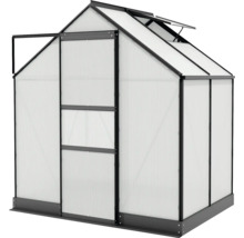 Gewächshaus Vitavia Apollo 2500 Hohlkammerplatten 6 mm mit Fundament 195x137 cm schwarz