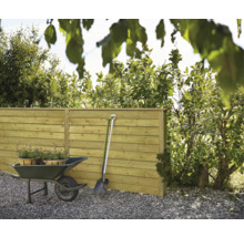 Gartenszene mit Holzzaun, Schubkarre und Gartengeräten vor Büschen