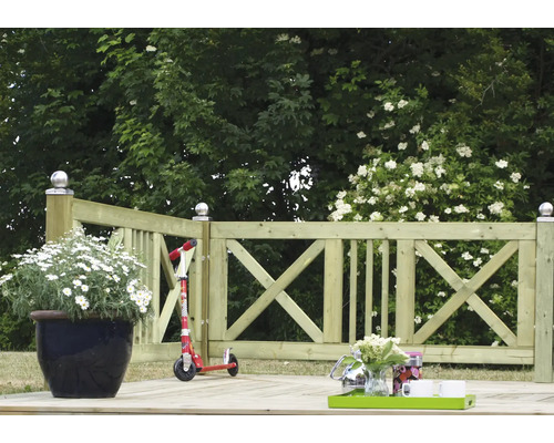 Holzterrasse mit Geländer, Pflanztopf und Roller