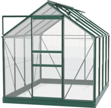 Gewächshaus mit geöffneter Tür und Dachfenster
