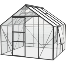 Gewächshaus mit transparenten Wänden und Fenster