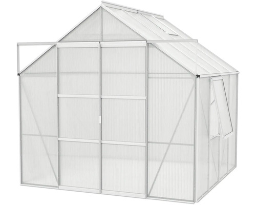 Gewächshaus mit Dachfenstern und geöffneter Tür