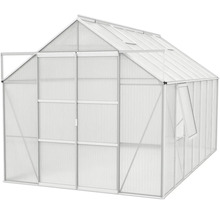 Gewächshaus mit geöffneter Tür und Fenster für den Garten
