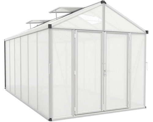 Gewächshaus mit Doppeltür und Dachfenstern