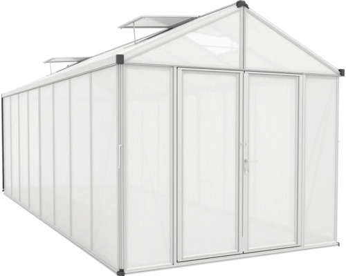 Gewächshaus mit Doppeltür und Dachfenstern