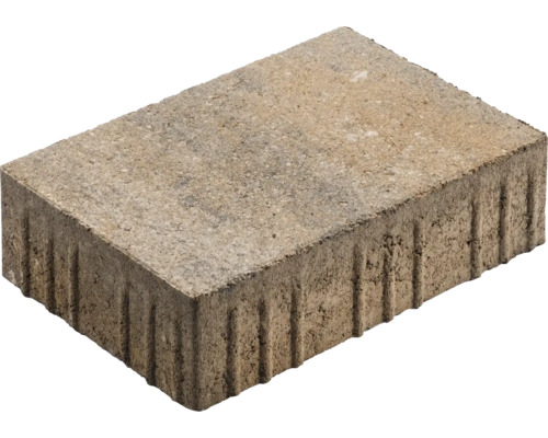 Einzelner Pflasterstein