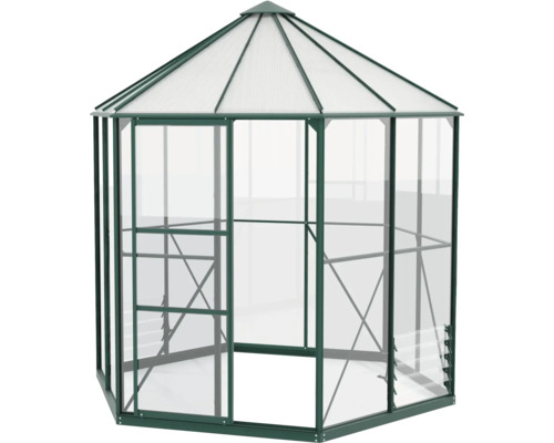 Hexagonales Gewächshaus mit transparenten Wänden und Dach