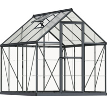 Gewächshaus mit Regalen und Dachfenster