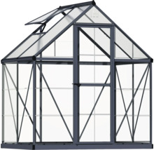 Gewächshaus mit Dachfenster und Tür