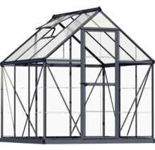Gewächshaus mit Glaswänden und Dachfenster