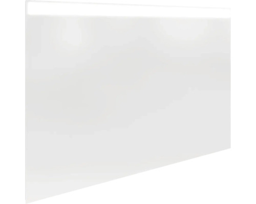LED Badspiegel FACKELMANN MIRRORS 100 x 68 cm alufarben 84575
