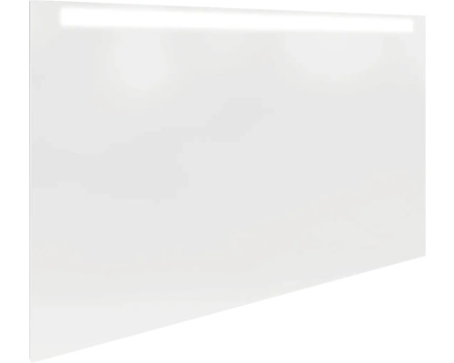 LED Badspiegel FACKELMANN MIRRORS 110 x 70 cm alufarben 84576