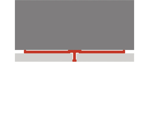 T-Profil zur Verbindung von Bodenbelägen