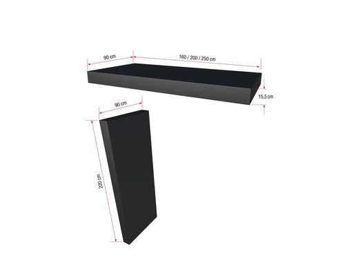 Darstellung eines Wandboards mit den Maßen 90 x 160/200/250 x 15,5 Zentimeter und einer Seitenwand mit den Maßen 90 x 220 Zentimeter.