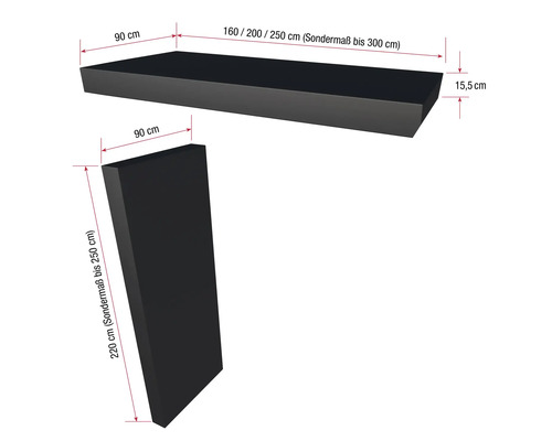 Abbildung eines Raumteilers mit den Maßen 90 x 160/200/250 cm und einer Höhe von 15,5 cm, sowie einer Seitenwand mit den Maßen 90 x 220 cm.