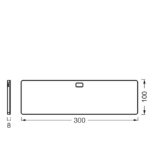 Technische Zeichnung eines rechteckigen Spiegels mit den Maßen 300 x 100 x 8 Millimeter